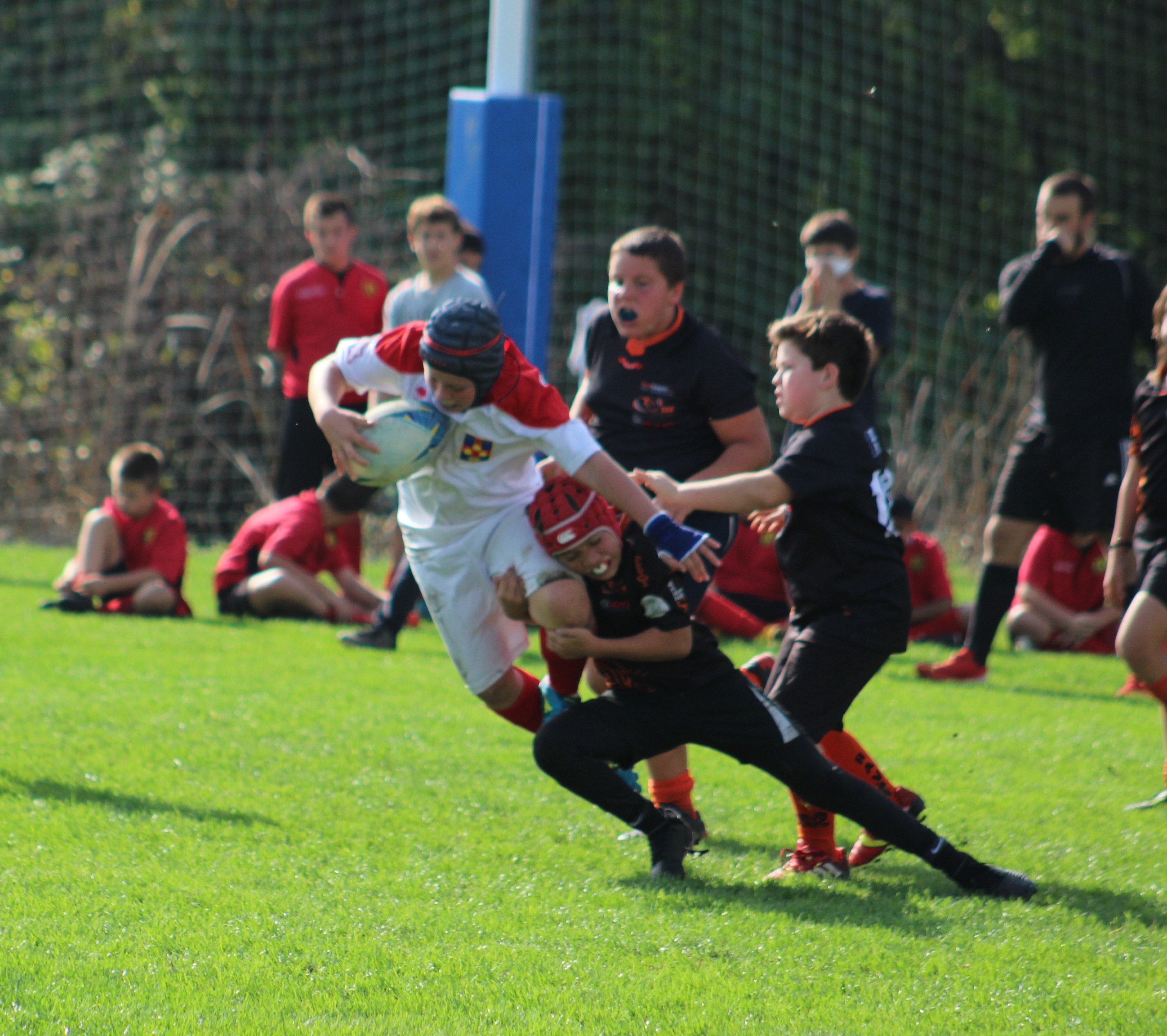 U12 : Torneo di Cittadella