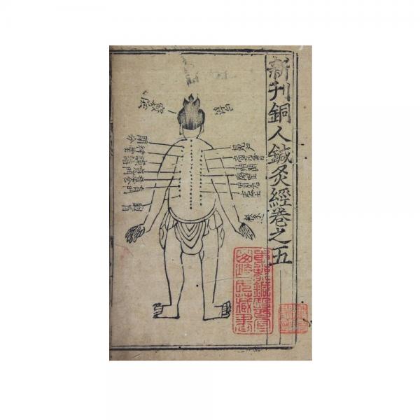 Corso Shiatsu - Info